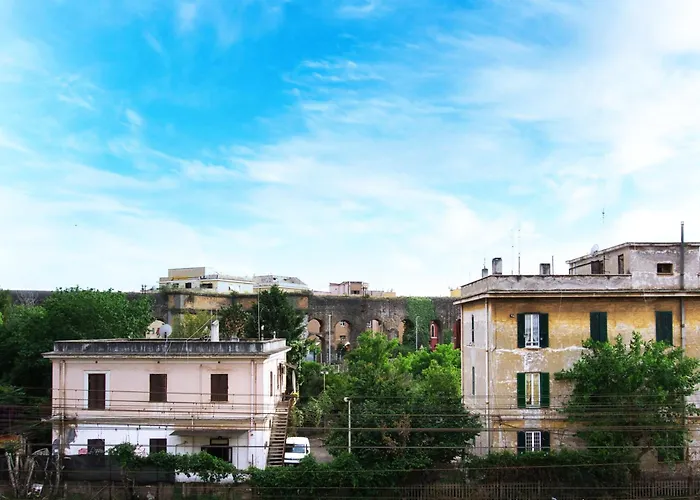 Elena Fine & Shining Rome